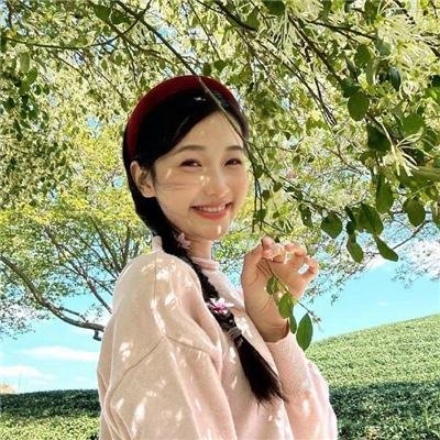 真情玫瑰