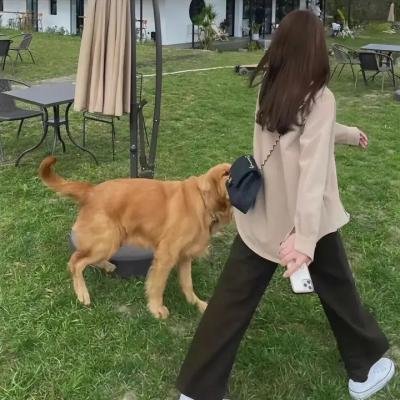 复仇者